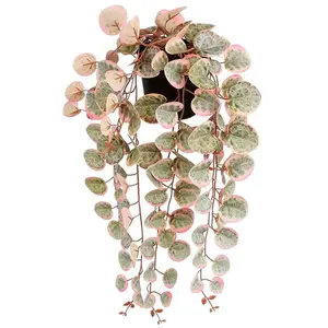 Mica Decorations Ceropegia Woodii Collar De Corazones Rosa Künstliche Pflanze günstig