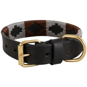 Br Hundehalsband günstig