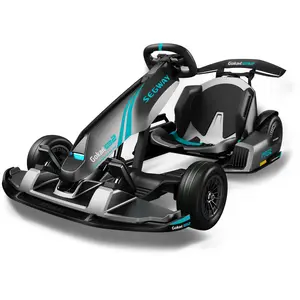 Segway Gokart Pro2 günstig