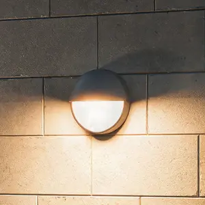Philips LED-Außenwandleuchte Capricorn UE, anthrazit, IP44