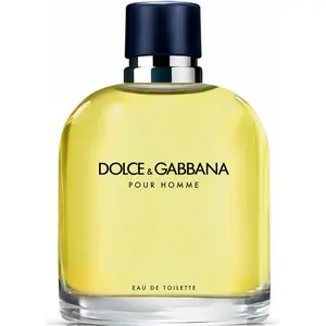 Dolce&Gabbana DOLCE & GABBANA Eau de Toilette Pour Homme
