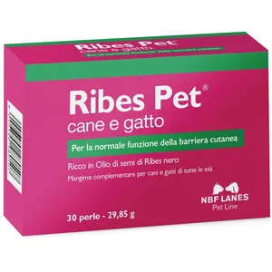 Ribes PET perle 30 ct günstig