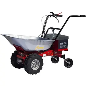 Eurosystems Motor Schubkarre CARRY Akku, 2 Akkus 55Ah günstig