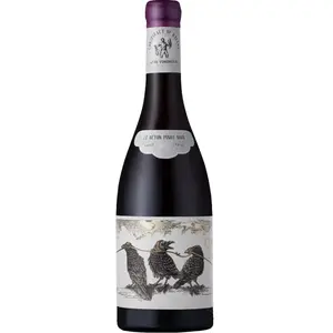 Orpheus & The Raven Conspiracy of Ravens 2022 günstig
