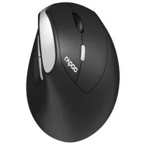 Rapoo EV250, rechts, Optisch, RF Wireless, 1600 DPI, Schwarz, Silber