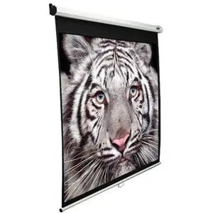 Elite Screens Manual (139", 16:10), Leinwand, Schwarz, Weiss