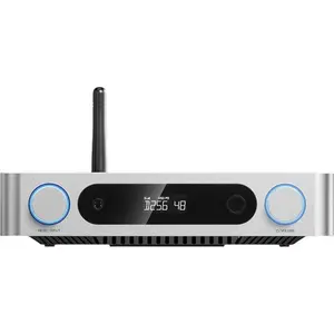 FiiO K13 R2R Hi-Fi Kopfhörerverstärker Silver günstig