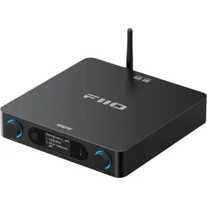 Fiio Br15 R2r Audio-empfänger günstig