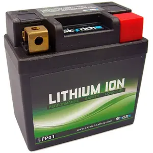 Skyrich Lfp01 Lithiumbatterie One Size