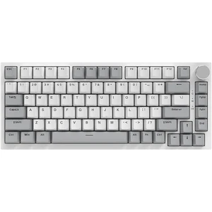 AJAZZ Computertastatur: 75% mechanische Tastatur mit Gasket Mount, US-...