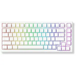 Akko TAC75 HE Magnetische Gaming Tastatur 75% Weiß - USB-C 8K Glare Ma...