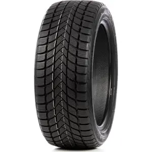 Delinte 205/55R17 95H Wd6 günstig