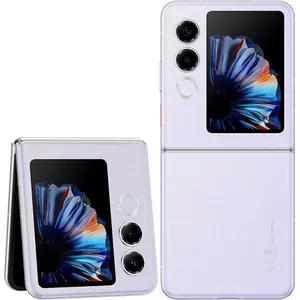 Nubia Flip 2 5G, 17,5 cm (6.9"), 8 GB, 256 GB, 50 MP, Violett