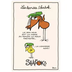 Torchon - der gesunde Menschenverstand Winkler Shadoks 48x72 cm günstig