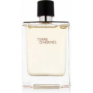 Hermès Terre D'Hermès EDT 100 ml M