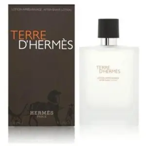 Hermes Terre D Aftershave 100ml One Size