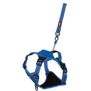 Zolux Easyride Hondentuig Blauw (XL, Hund, Allgemein), Halsband + Leine günstig