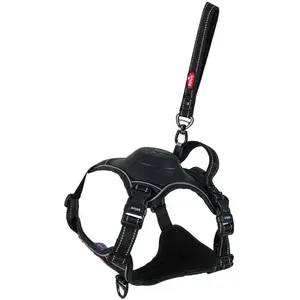 Zolux Easyride Hondentuig Zwart (XL, Hund, Spazieren), Halsband + Leine günstig