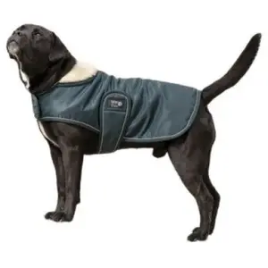 Diego & Louna Teddy Hundejacke günstig