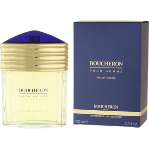 Boucheron Pour Homme, Männer, 100 ml, Nicht nachfüllbare Flasche, Berg...