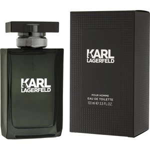 Karl Lagerfeld Karl Lagerfeld Pour Homme EDT 100 ml M