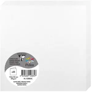 25 gefaltete Karten Clairefontaine Pollen 135x135 mm günstig