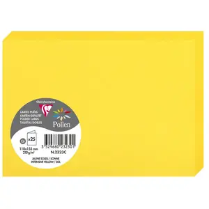 Gefaltete Kartens Clairefontaine Pollen (x25) 110x155 mm günstig