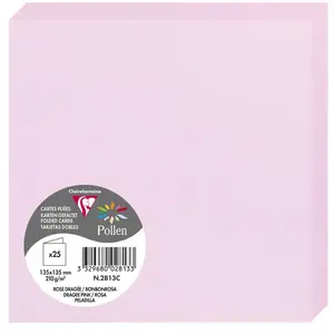 Gefaltete Kartens Clairefontaine Pollen (x25) 135x135 mm