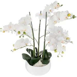 Atmosphera Orchid Jj1683 Blumentopf günstig