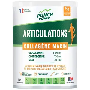 Nahrungsergänzungsmittel Punch Power Articulations Collagène Marin Blanc 280 g günstig