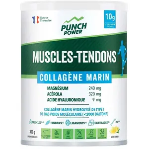 Muskeln-Sehnen Meereskollagen (300g) günstig