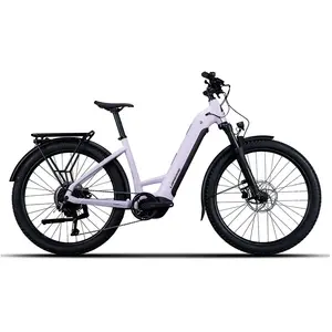 Lapierre E-explorer 6.5 Low Cues Rd-u3020 2026 Elektrofahrrad S günstig