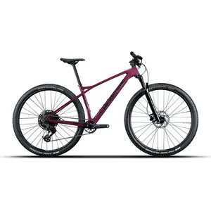 Lapierre Prorace Cf 6.9 29´´ Eagle 70 2026 Mountainbike L günstig