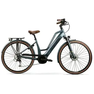 Granville E-excellence 25 Plus Intuvia Elektrofahrrad M günstig