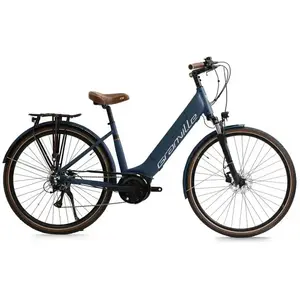 Granville E-integrated 30 Wave Bosch Active Line Elektrofahrrad S günstig