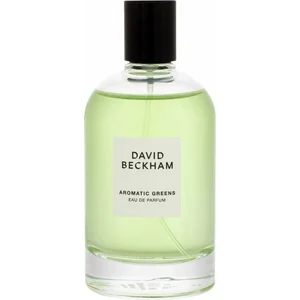 David Beckham Aromatic Greens Eau de Parfum für Herren 100 ml