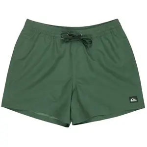 Badehose Quiksilver Everyday Volley 15 Vert S günstig