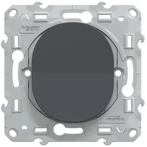 Ovalis-Drucktasterbaugruppe, SCHNEIDER ELECTRIC, Anthrazit günstig