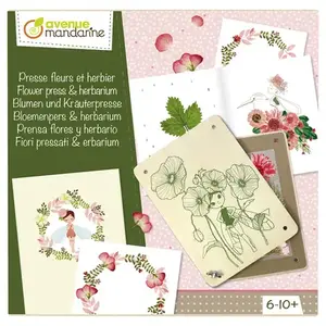 Kreativset Blumenpresse und Herbarium Avenue Mandarine TU