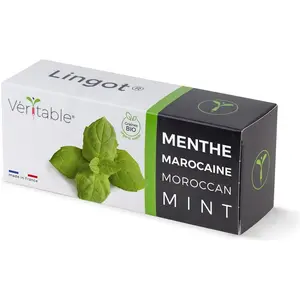 Véritable, Samen, Marokkanische Minze (Kräutersamen) günstig