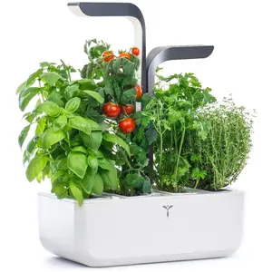 Véritable, Blumentopf, Connect Indoor Garden (33 x 18 x 81 cm) günstig