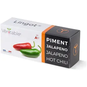 Véritable, Samen, 3760262511665 (Gemüsesamen) günstig