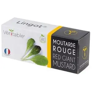 Véritable, Samen, Lingot Stiefmütterchen BIO günstig
