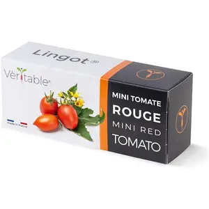 Véritable, Samen, Bio-Kirschtomaten (Gemüsesamen) günstig