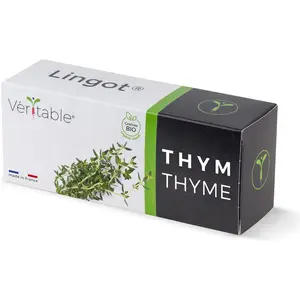 Véritable, Samen, Lingot Thyme - Organic (Kräutersamen) günstig