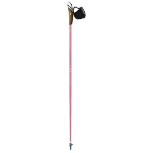 Nordic Walking Stock Guidetti Vent des Fjords UT70 Steppe Rosa 110 cm günstig