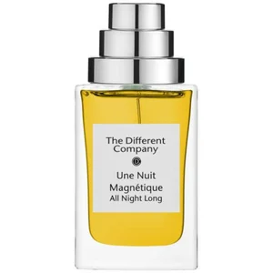 The Different Company Une Nuit Magnetique Eau de Parfum 100 ml