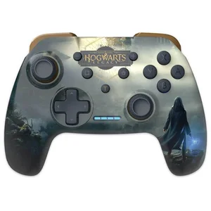 Wireless Switch Controller, Hogwarts Legacy Landscape