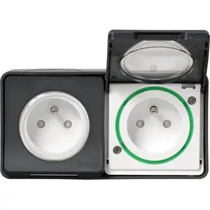Doppelte Aufputz-Schutzsteckdose, Mureva Styl, SCHNEIDER ELECTRIC, Ant... günstig