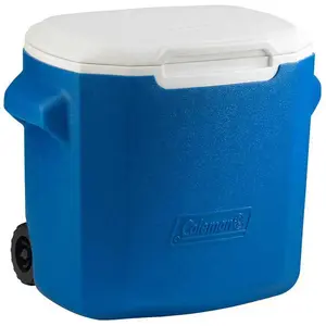 Coleman Performance 26l Steife Tragbare Kühlbox One Size günstig